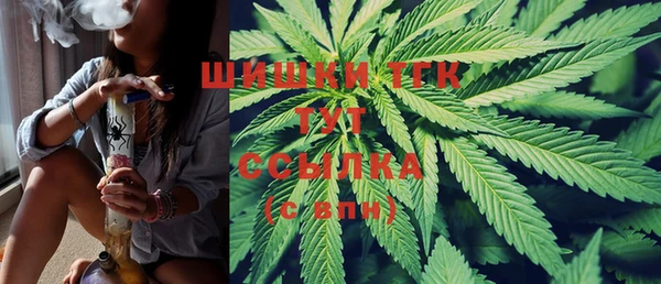 mix Гусев