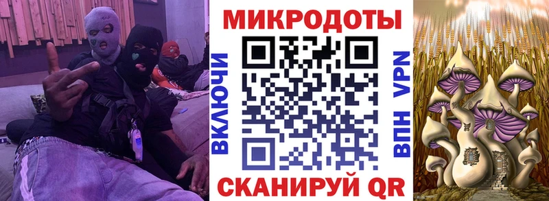 закладки  Усть-Кут  Псилоцибиновые грибы мухоморы 
