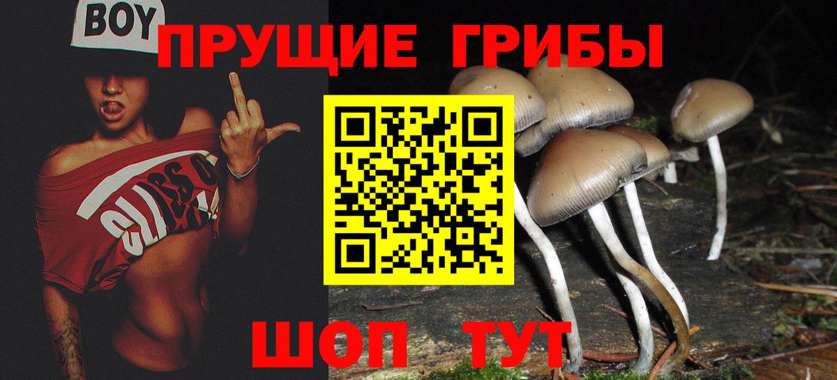 Усть-Кут  Псилоцибиновые грибы ЛСД  Вход с VPN 