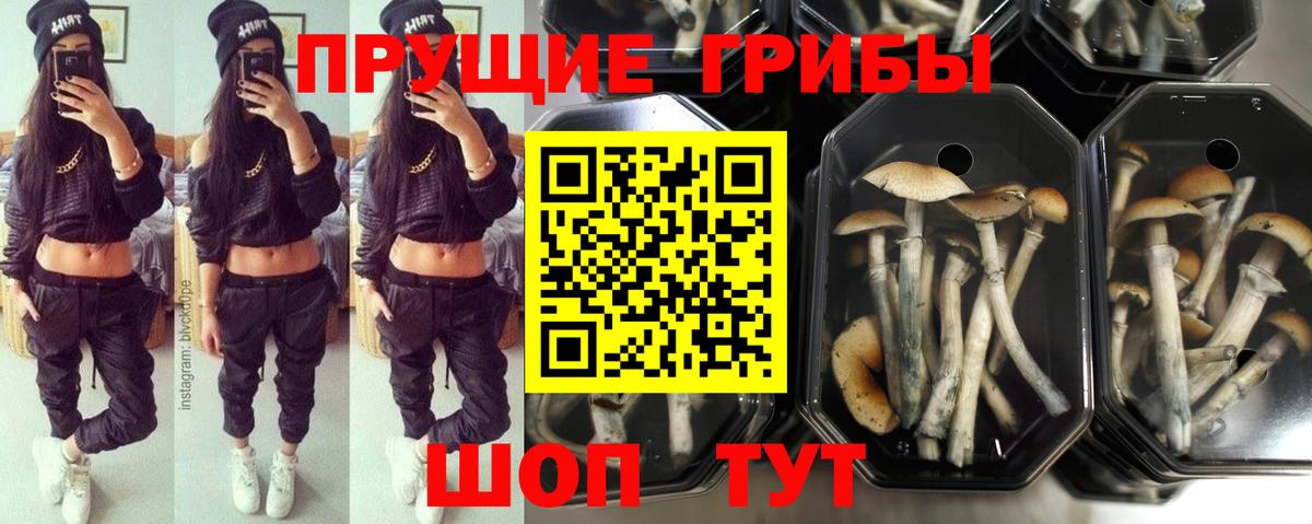 Галлюциногенные грибы мицелий Усть-Кут