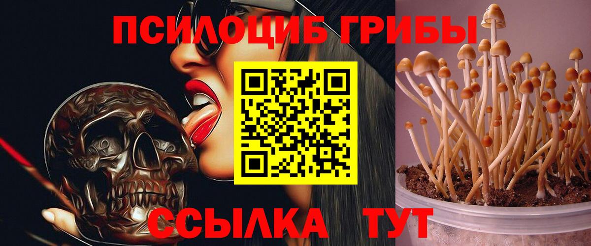 Галлюциногенные грибы мицелий Усть-Кут