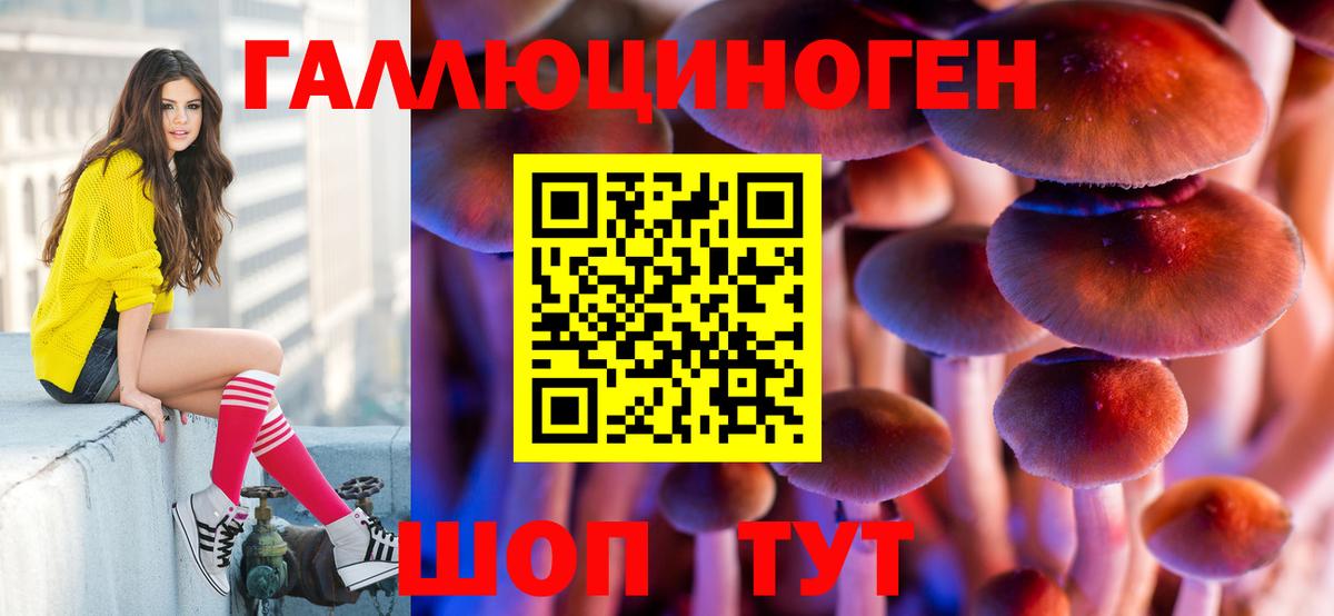 Галлюциногенные грибы мицелий  где можно купить   Усть-Кут 