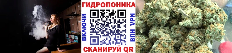 Шишки марихуана тримм  hydra зеркало  Усть-Кут 